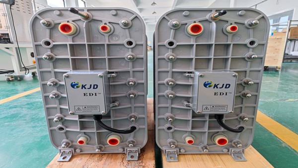 国产edi模块出水能达18兆欧吗